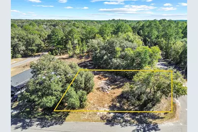 0 Guava Terrace Place & Bay Place Run, Ocklawaha, FL 32179 - Photo 4