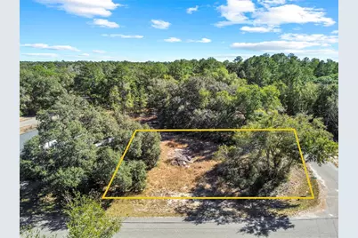 0 Guava Terrace Place & Bay Place Run, Ocklawaha, FL 32179 - Photo 8