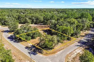 0 Guava Terrace Pl & Bay Pl Run, Ocklawaha, FL 32179 - Photo 1