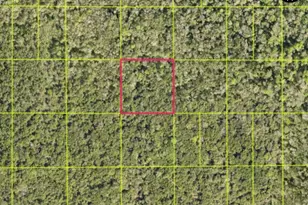 Tbd Access Rd, Oak Hill, FL 32759 - Photo 1