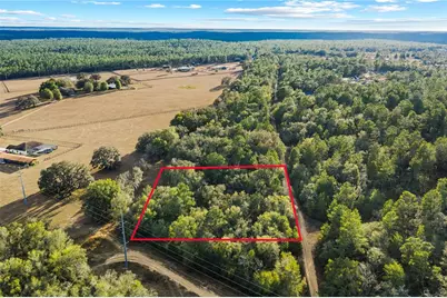 115 S Crestview Avenue, Inverness, FL 34452 - Photo 6