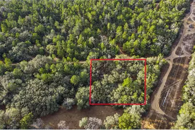 115 S Crestview Avenue, Inverness, FL 34452 - Photo 2