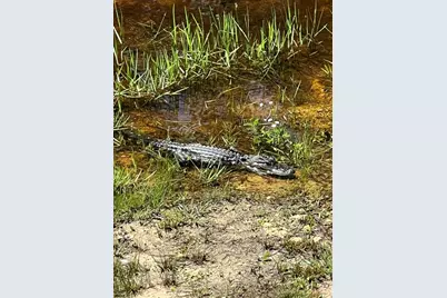 00 Clayton, Cedar Key, FL 32625 - Photo 14