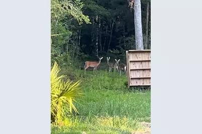 00 Clayton, Cedar Key, FL 32625 - Photo 16