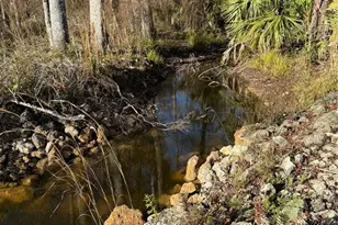 Track 79 Clayton Rd, Cedar Key, FL 32625 - Photo 16