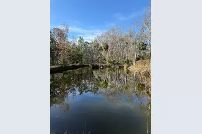 00 Clayton Road, Cedar Key, FL 32625 - Photo 16