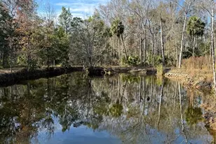 00 Clayton Rd, Cedar Key, FL 32625 - Photo 16