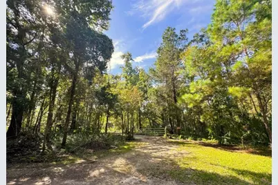 Track 79 Clayton Road, Cedar Key, FL 32625 - Photo 22