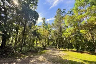 Track 79 Clayton Rd, Cedar Key, FL 32625 - Photo 22