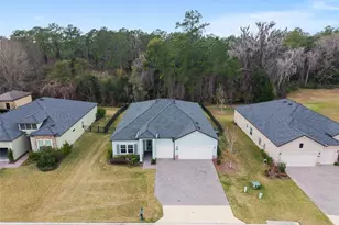 4226 SE 11th Ave, Ocala, FL 34480 - Photo 78