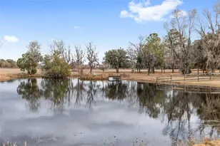 15000 W Hwy 318, Williston, FL 32696 - Photo 60