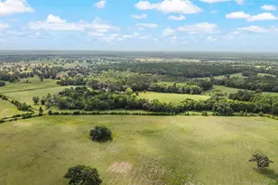 15000 W Hwy 318, Williston, FL 32696 - Photo 76