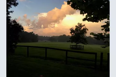 15000 W Hwy 318, Williston, FL 32696 - Photo 70