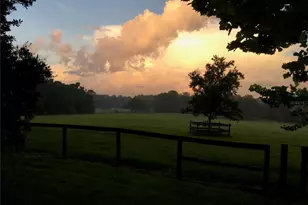 15000 W Hwy 318, Williston, FL 32696 - Photo 70