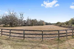 15000 W Hwy 318, Williston, FL 32696 - Photo 54