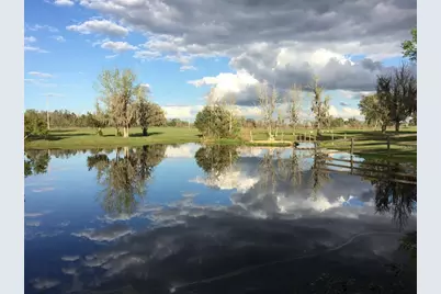 15000 W Hwy 318, Williston, FL 32696 - Photo 72