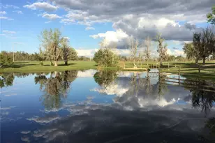 15000 W Hwy 318, Williston, FL 32696 - Photo 72