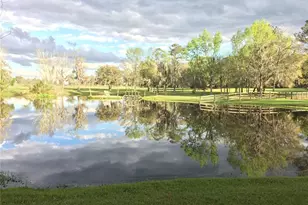 15000 W Hwy 318, Williston, FL 32696 - Photo 2