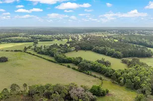 15000 W Hwy 318, Williston, FL 32696 - Photo 74
