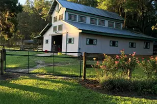 15000 W Hwy 318, Williston, FL 32696 - Photo 2
