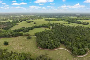 15000 W Hwy 318, Williston, FL 32696 - Photo 76