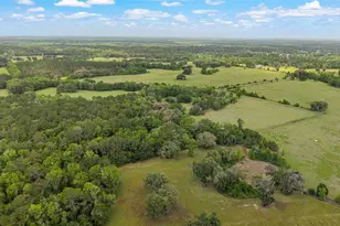 15000 W Hwy 318, Williston, FL 32696 - Photo 80