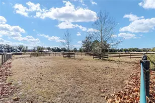 1120 E Hwy 316 Rd, Citra, FL 32113 - Photo 50