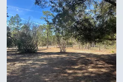 22851 SW Neptune Boulevard, Dunnellon, FL 34431 - Photo 2