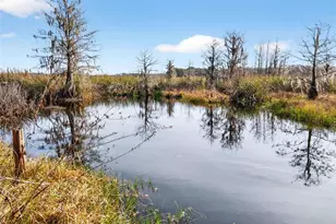 8989 S Great Oaks Dr, Floral City, FL 34436 - Photo 4