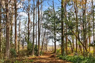 8989 S Great Oaks Dr, Floral City, FL 34436 - Photo 6