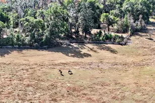 8989 S Great Oaks Dr, Floral City, FL 34436 - Photo 32