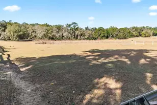 8989 S Great Oaks Dr, Floral City, FL 34436 - Photo 40