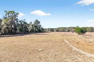 8989 S Great Oaks Dr, Floral City, FL 34436 - Photo 28