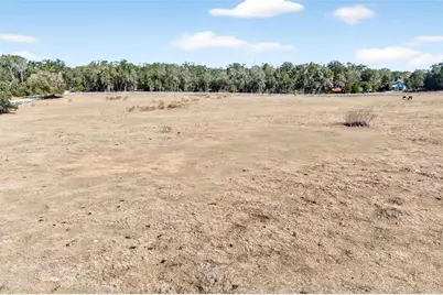 8989 S Great Oaks Drive, Floral City, FL 34436 - Photo 38