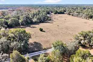 8989 S Great Oaks Dr, Floral City, FL 34436 - Photo 44