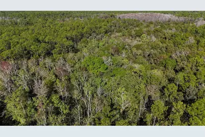 N/A, Naples, FL 34120 - Photo 4