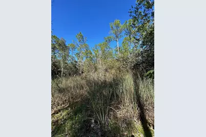 N/A, Naples, FL 34120 - Photo 36