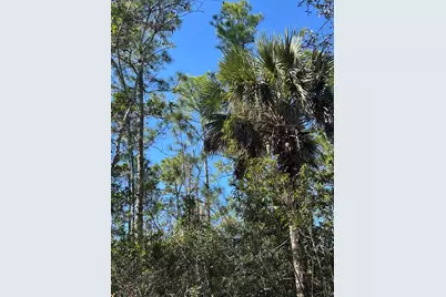 N/A, Naples, FL 34120 - Photo 38