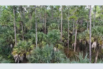 16th Ave SE, Naples, FL 34117 - Photo 4