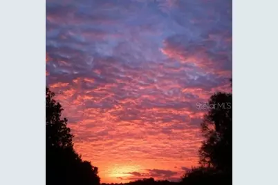 9760 W Highway 316, Reddick, FL 32686 - Photo 80