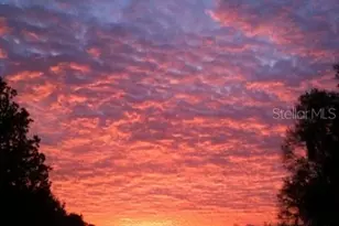 9760 W Hwy 316, Reddick, FL 32686 - Photo 80