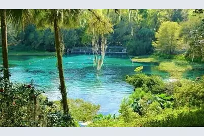 12178 Palmetto Way, Dunnellon, FL 34432 - Photo 34