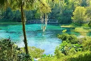 12178 Palmetto Way, Dunnellon, FL 34432 - Photo 34