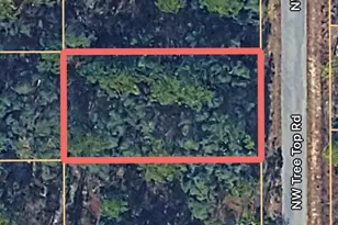 0000 NW Treetop Rd, Dunnellon, FL 34431 - Photo 1