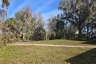 2346 Cr 401, Lake Panasoffkee, FL 33538 - Photo 18