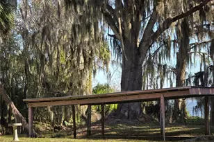 2346 Cr 401, Lake Panasoffkee, FL 33538 - Photo 20