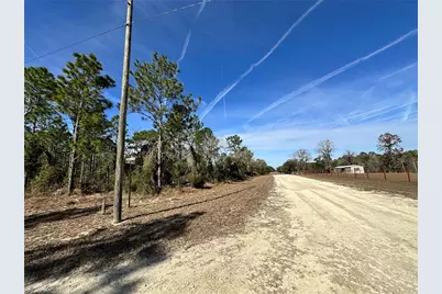 Tbd SE 67th Place, Morriston, FL 32668 - Photo 8