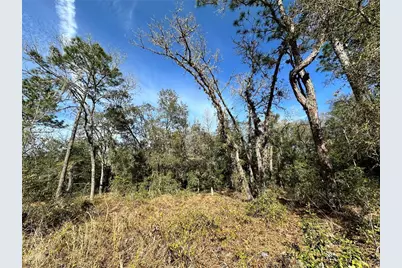 Tbd SE 67th Place, Morriston, FL 32668 - Photo 4