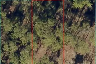 24394 NW Water Oak Ave, Dunnellon, FL 34431 - Photo 1