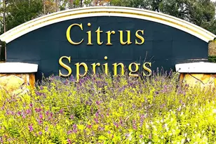 3637 W Wilhelm St, Citrus Springs, FL 34433 - Photo 2
